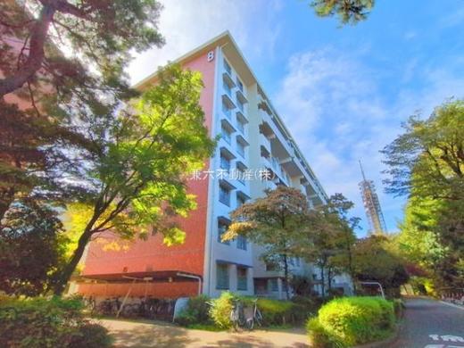 西東京市西原町4丁目 2,798万円