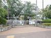 練馬区立光が丘第八小学校 距離80m