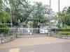練馬区立光が丘第八小学校 距離110m