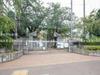 練馬区立光が丘第八小学校 距離200m