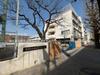 練馬区立練馬第三小学校 距離240m
