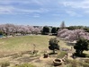 文理台公園まで215ｍ文理台公園は豊かな自然環境と歴史的背景を持つ都市公園で、遊具施設や広場も整備されているため、子どもから大人まで一日中楽しめるスポットです。